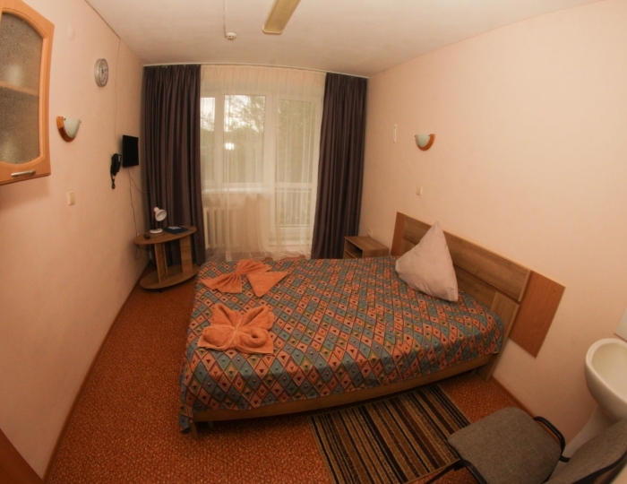 Стандартный 1-местный - Санаторий «Геолог» Тюмень