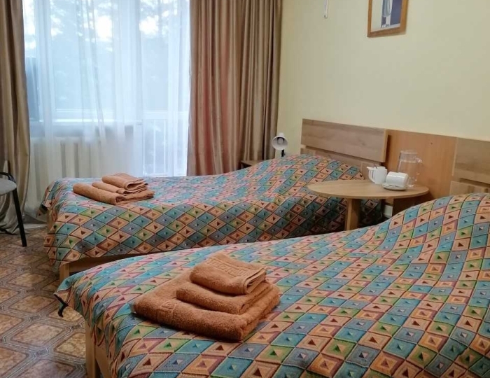 Стандартный 2-местный Twin - Санаторий «Геолог» Тюмень